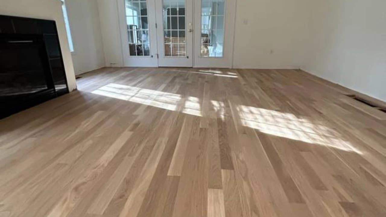 Sunlit hardwood living room, the kind of finished project a free estimate starts